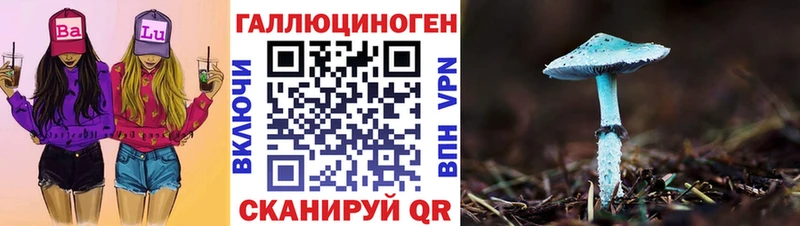 сколько стоит Велиж Галлюциногенные грибы GOLDEN TEACHER